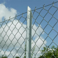 PVC Coated Diamond Mesh Fence